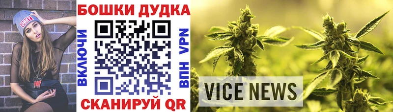 Конопля гибрид  hydra   Калининец 